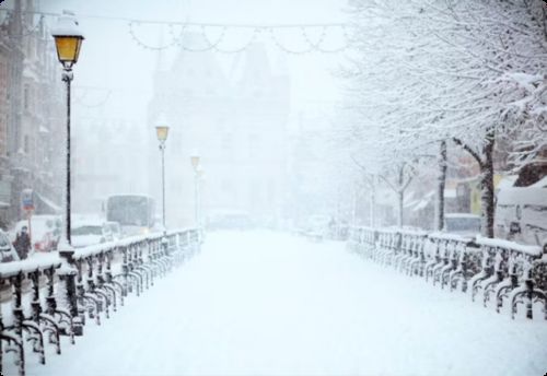 Latest company news about Comienza tu Viaje Invernal: Abrazando Lidong